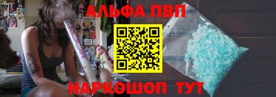 стафф Кингисепп