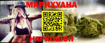 стафф Кингисепп