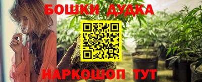крисы Кинель