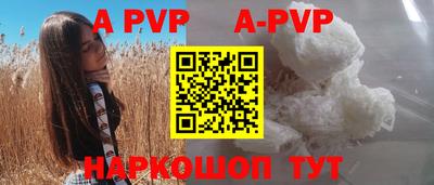 стафф Кингисепп