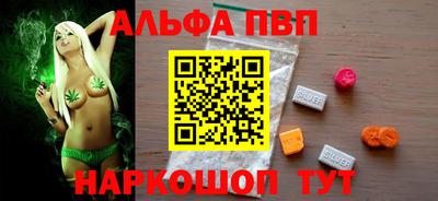 стафф Кингисепп