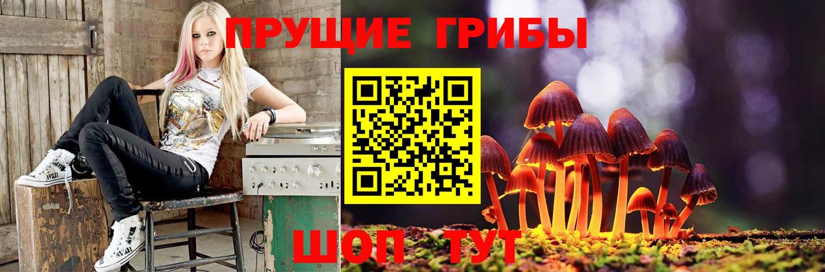 Красноармейск  Псилоцибиновые грибы Psilocybe  сколько стоит  Вход с VPN  Псилоцибиновые грибы Cubensis 
